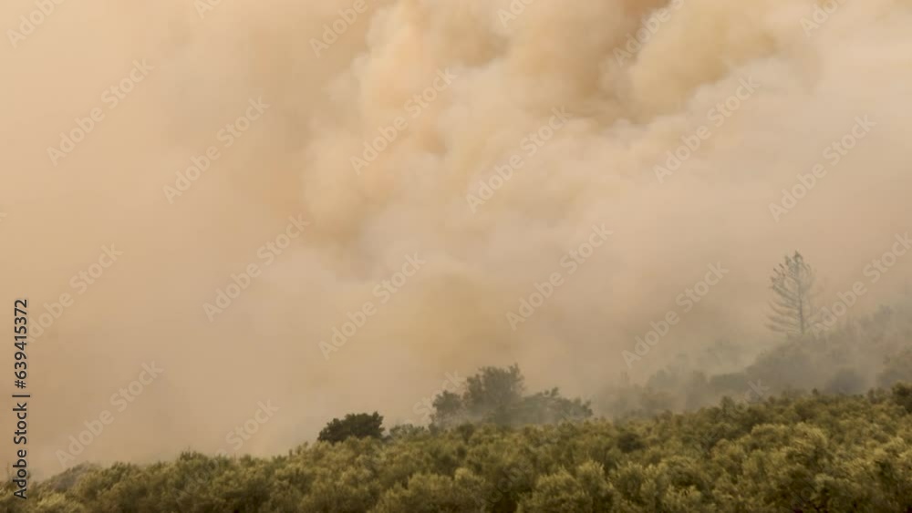Forest fires in the prefecture of Evros in northern Greece in the biggest fire ever in Europe Forest fires in the prefecture of Evros in northern Greece in the biggest fire ever in Europe