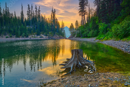 Fotografie Stump along the shore of  Hungry Horse Reservoir with Mount Murry in the distanc