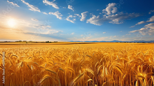 Yellow wheat field, Generative IA