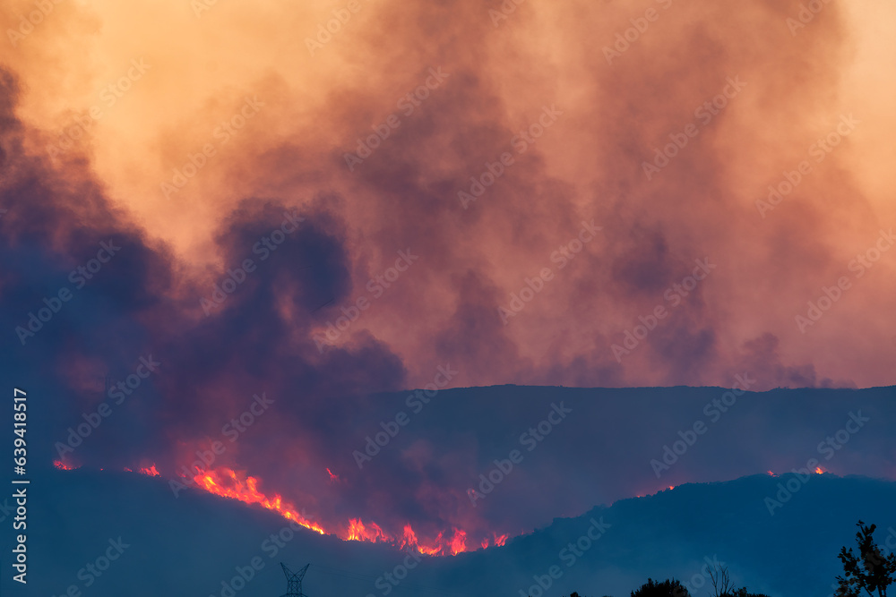 Forest Fires In The Prefecture Of Evros In Northern Greece In The forest-fires-in-the-prefecture-of-evros-in-northern-greece-in-the