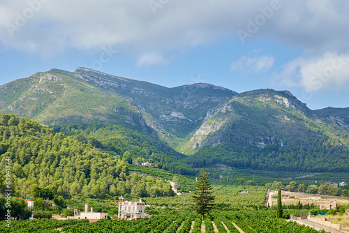 Fruit garden in summer day at the foot of the mountains  blue sky with white clouds. Healthy organic foods in the countryside  organic farming  harvesting  gardening.