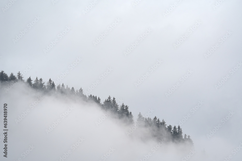 mist landscape of trees on the mountain edge appears in cloud