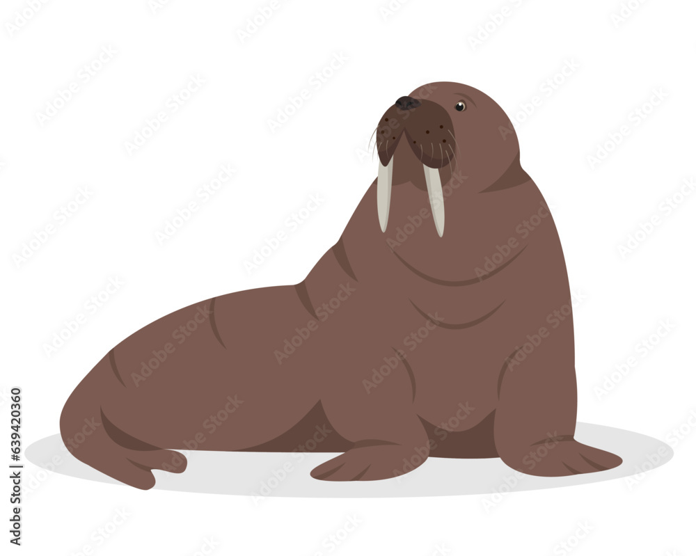 Walrus animal isolated on white background. Sea or ocean water mammal animal. Walrus icon. Nature Vector flat or cartoon illustration. Walrus animal isolated on white background. Sea or ocean water mammal animal. Walrus icon. Nature Vector flat or cartoon illustration.