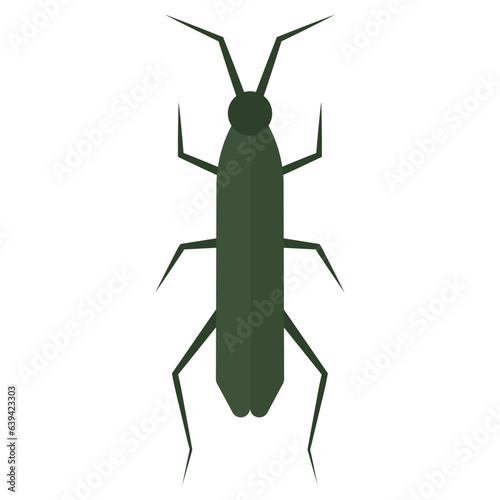 Isolated colored insect animal icon Vector © DAVIDS