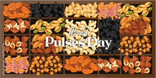 World pulses day illustration vector graphic.