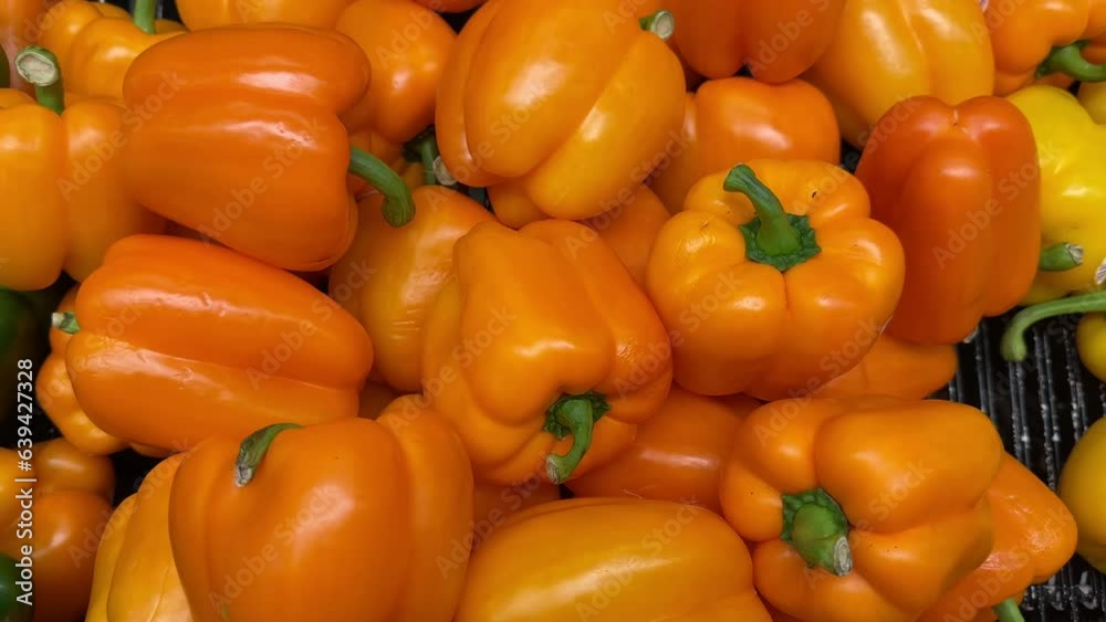 Fresh Orange Bell pepper background. Layout with orange pepper. Pepper in the supermarket. Fresh Orange Bell pepper background. Layout with orange pepper. Pepper in the supermarket.