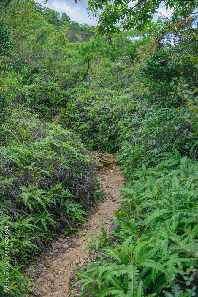 兵庫県・加東市三草山ハイキング、トレッキング
兵庫県・加東市三草山ハイキング、トレッキング
