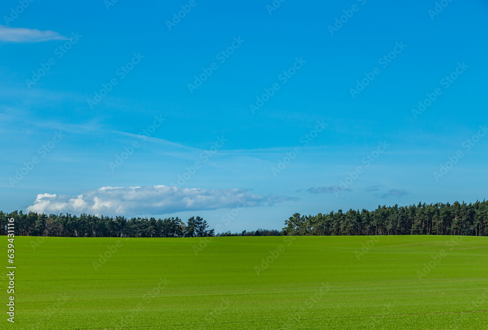 agricultural landscape with field and forest at the island of Usedom agricultural landscape with field and forest at the island of Usedom