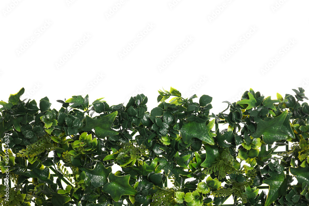 Green artificial plants with lush leaves isolated on white Green artificial plants with lush leaves isolated on white