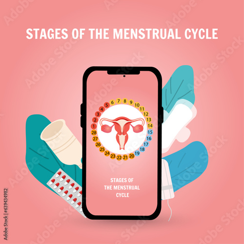 Mobile concept Stages of the menstrual cycle with woman’s staff