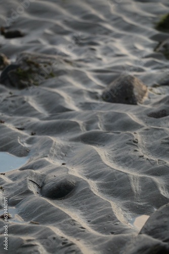 Ripples in the Sand