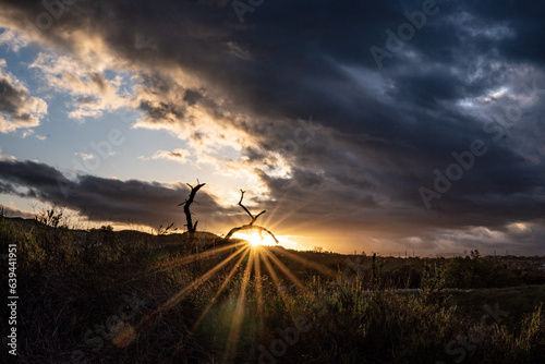 Quadro su tela Sunset Over the Field