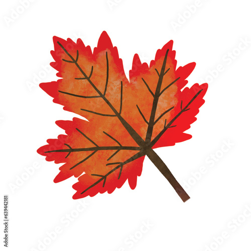 orange-brown maple leaf autumn
