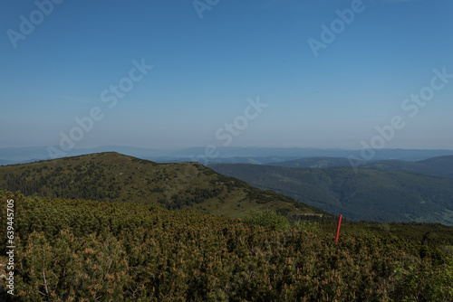 Pejzaż ze szlaku na Babią Górę © © Jakacki