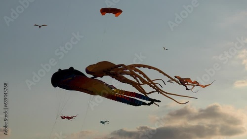 Kite Festival. Holiday on the beach. Kites of various shapes. Entertainment for tourists. Aerodynamics.