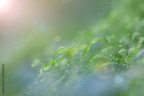 Natural green leaves landscape, nature view of green leaf on blurred greenery background.