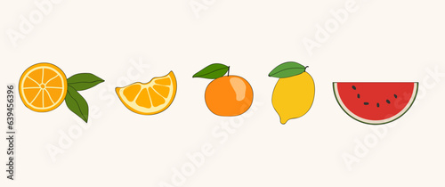 Set of vector illustration fruit orange  whole and slice of orange  watermelon
