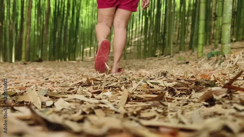 Asian woman walking in the green bamboo forest at Mu Cang Chai, Yen Bai, Vietnam. Natural background. Asian woman walking in the green bamboo forest at Mu Cang Chai, Yen Bai, Vietnam. Natural background.