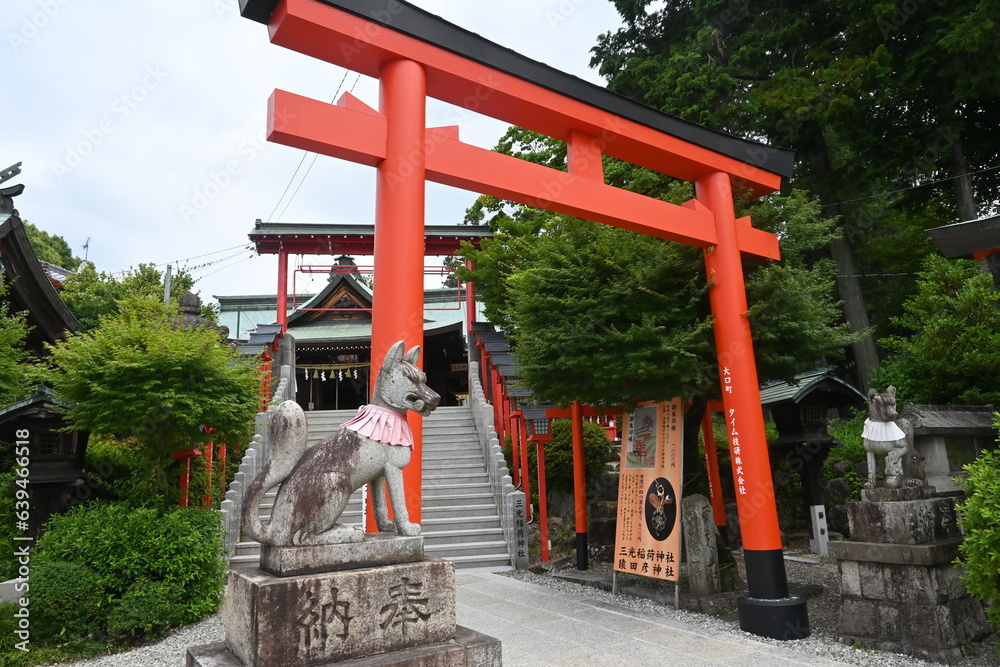 Vermilion torii of a Japanese shrine. Vermilion is used because the ancient Japanese wished the color of the image of the sun (god) to bring the dynamism of life. Vermilion torii of a Japanese shrine. Vermilion is used because the ancient Japanese wished the color of the image of the sun (god) to bring the dynamism of life.