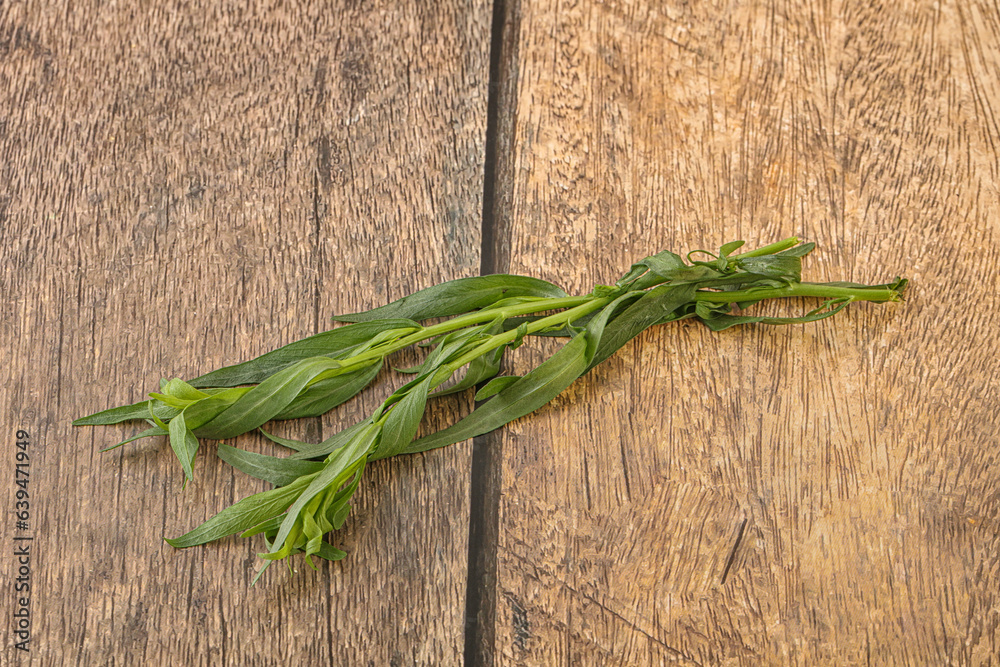 Green tarragon herb spice for cooking Green tarragon herb spice for cooking