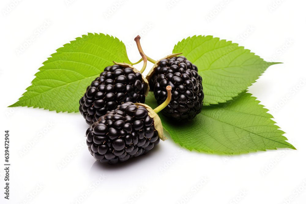 Three organic Mulberry fruits with green leaves isolated on white background. (ai generated) Three organic Mulberry fruits with green leaves isolated on white background. (ai generated)