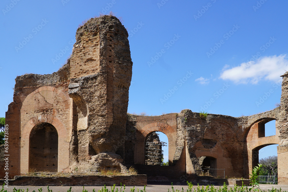 The Baths of Caracalla, ancient ruins of roman.
A panoramic view of the ruins of Caracalla. Terme di Caracalla in Rome(Roma), Italy.