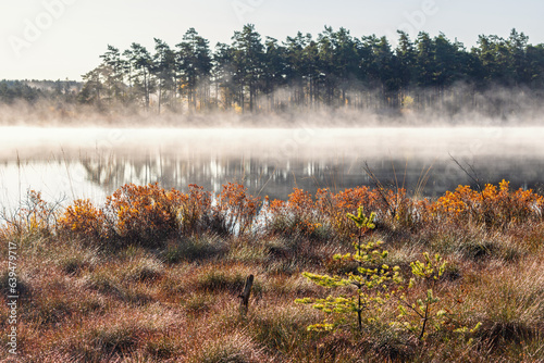 Beautiful morning mist on a lake in autumn