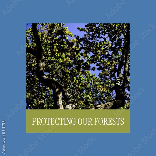 Composite of protecting our forests text over from below view of trees growing in woodland