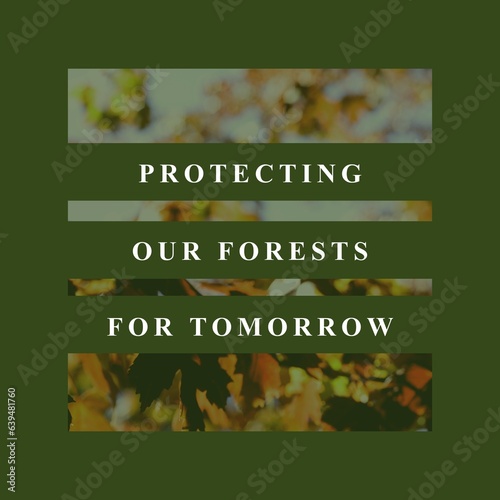Composite of protecting our forests for tomorrow text over defocused plants growing in forest