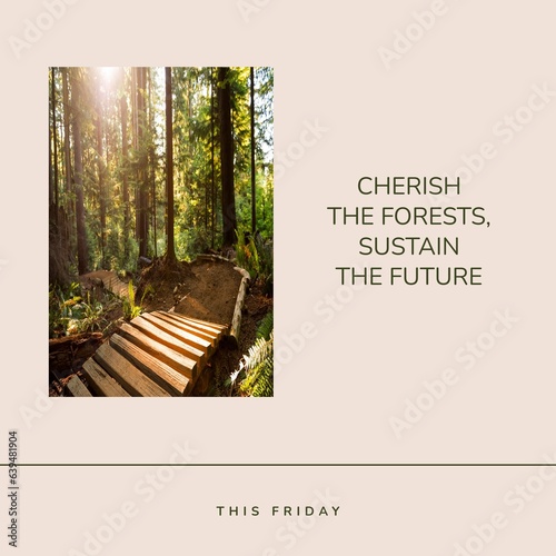 This friday, cherish the forests, sustain the future text and sun shining through trees in woodland