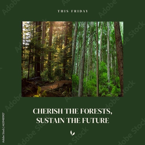 This friday, cherish the forests, sustain the future text and tree trunks growing in woodland