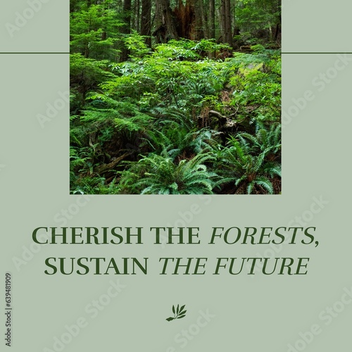 Composite of cherish the forests, sustain the future text over trees and plants growing in forest