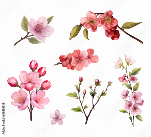 Set of cherry blossom flowers isolated on white background. Watercolor style illustration. Generated AI