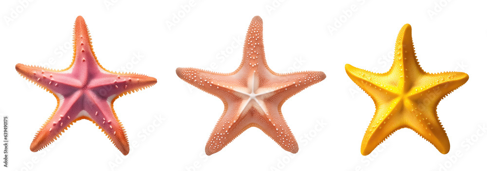 Fototapeta premium Set of different colourful starfish marine creature isolated on transparent background. Generative AI