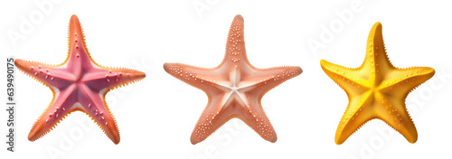 Set of different colourful starfish marine creature isolated on transparent background. Generative AI