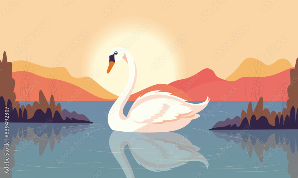 A Beautiful Swan Floating in Water with Mountain at the Sun Bright View.