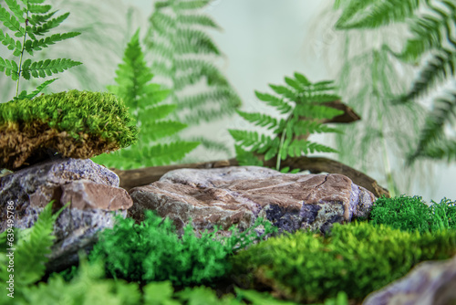 Natural rock podium with fern, stone and moss for product presentation.