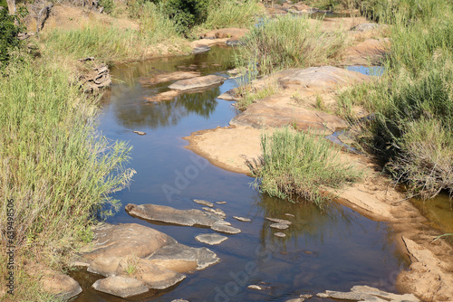 Afrikanischer Busch - Krügerpark - Sabie River / African Bush - Kruger Park - Sabie River / photo