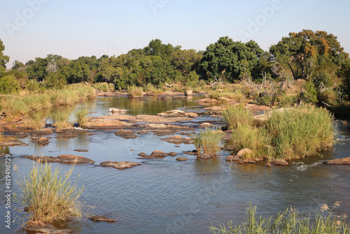 Afrikanischer Busch - Krügerpark - Sabie River / African Bush - Kruger Park - Sabie River / photo