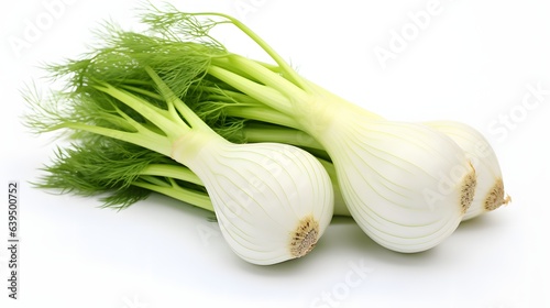 A pile of fennel bulbs with feathery green fronds on a white background