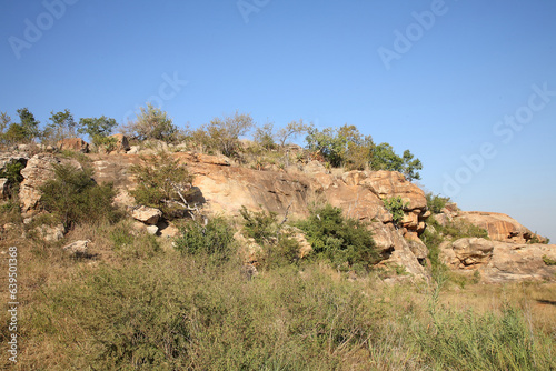 Afrikanischer Busch - Krügerpark - Crocodile River Area / African Bush - Kruger Park Area /