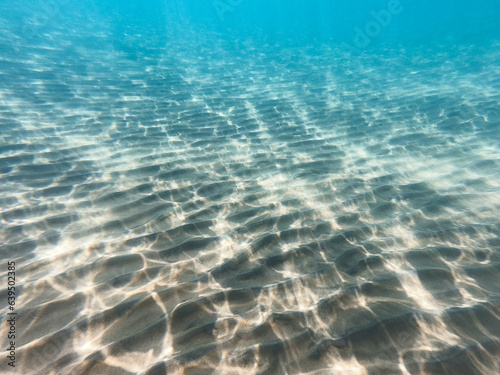 Sandy sea bottom Marine life, Underwater background. Clear water. underwater background with sandy sea bottom.