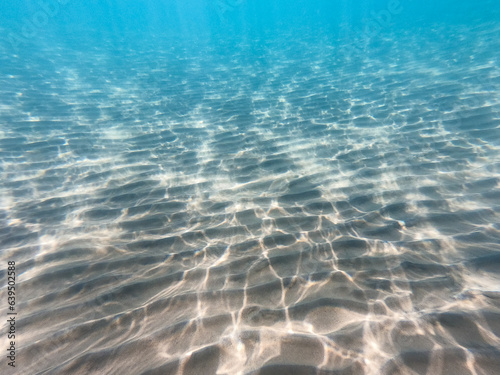 Sandy sea bottom Marine life, Underwater background. Clear water. underwater background with sandy sea bottom.