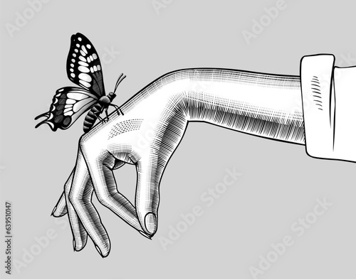 Woman's hand with a butterfly on her finger. The theme of nature conservation. Vintage engraving stylized drawing. Vector illustration