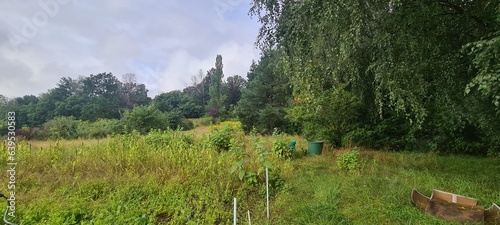 Garten - Gartenparzelle im Hohen Fläming