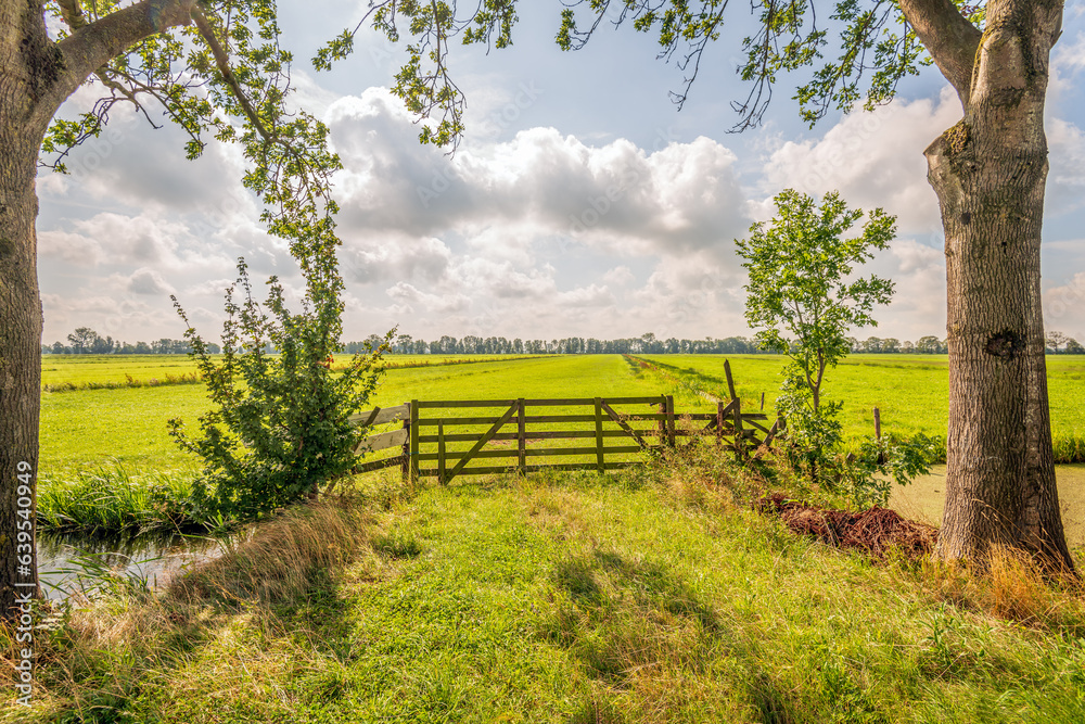 Backlit shot of a closed wooden gate in the foreground of a meadow. Tall trees are on both sides. It is a sunny summer day in the Dutch province of South Holland.