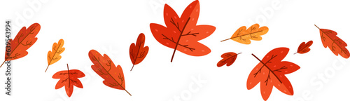 Flat autumn leaves divider separator decoration. Fall season border leaf autumn plant. 