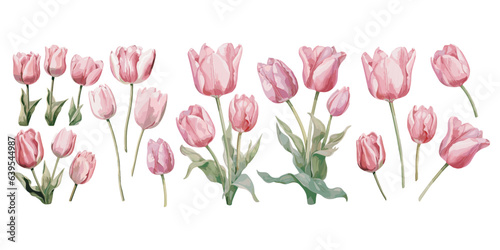 watercolor pink tulip clipart for graphic resources