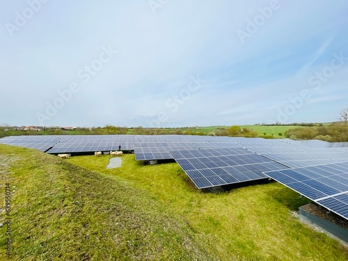 Champ photovoltaïque au sol - Agrivoltaïsme et moutons