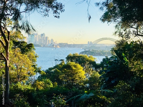 Vue    travers la v  g  tation dans la baie de sydney